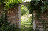 Location 014, Picture 161