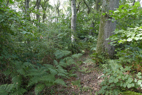 Location 014, Picture 187