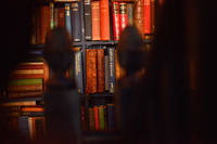Location 045, Picture 14